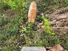 Kolombia menuduh Ekuador mengebom wilayahnya; penolakan dari Quito, yang merupakan serangan penuh terhadap perdagangan narkoba