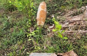 Kolombia menuduh Ekuador mengebom wilayahnya; penolakan dari Quito, yang merupakan serangan penuh terhadap perdagangan narkoba