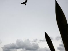 HIDUP. Perang di Timur Tengah: Rusia bersuara membela kepentingan Iran