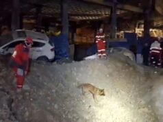 Perang Timur Tengah Langsung: Iran Mengancam Universitas AS di Negara-negara Teluk