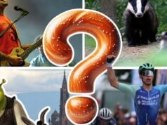 Kuis. Racing, Shrek, Alsatian masuk ke Pantheon… Sudah ikuti berita bulan Februari?