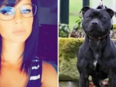 menghidupkan kembali hari pertama persidangan temannya, pemilik anjing Curtis