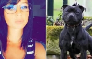 menghidupkan kembali hari pertama persidangan temannya, pemilik anjing Curtis