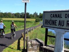 “Mereka berada di sana bukan untuk menggigit, melainkan untuk membunuh”