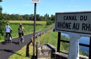 “Mereka berada di sana bukan untuk menggigit, melainkan untuk membunuh”