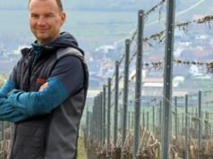 juga. Saat Muscat menonjol di bawah kepemimpinan para petani anggur yang berani