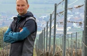 juga. Saat Muscat menonjol di bawah kepemimpinan para petani anggur yang berani