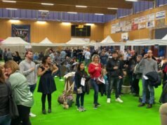 Furdenheim. Wine Fair akan diadakan kembali pada hari Jumat Agung