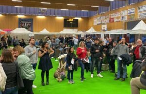 Furdenheim. Wine Fair akan diadakan kembali pada hari Jumat Agung