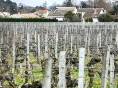 Pemilihan kota tahun 2026: di Gironde, kelompok kiri melakukan mobilisasi melawan pestisida