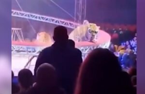 Video. $konten.TitleNoTags