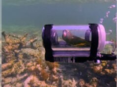 Baby si parkit menjelajahi laut dengan kapal selam yang dibuat khusus