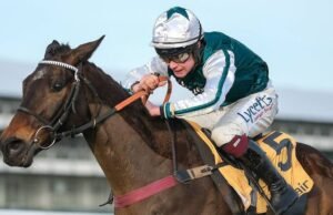 Kuda Grand National dilarikan ke rumah sakit saat pemiliknya yang patah hati angkat bicara | Balapan | Olahraga