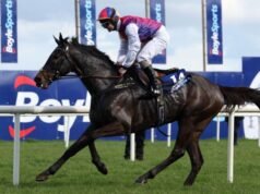 Pelari dan pebalap Grand National Irlandia dikonfirmasi plus tip untuk Fairyhouse | Balapan | Olahraga