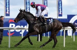 Pelari dan pebalap Grand National Irlandia dikonfirmasi plus tip untuk Fairyhouse | Balapan | Olahraga