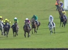 Grand National Irlandia 1-2-3-4-5 dan hasil penuh saat Soldier In Milan menang | Balapan | Olahraga