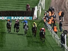 Kuda Nasional Agung Get On George mati saat Festival diguncang kematian kedua | Balapan | Olahraga