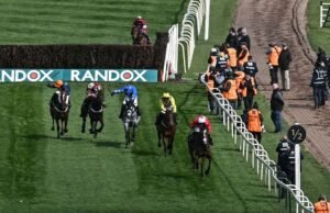 Kuda Nasional Agung Get On George mati saat Festival diguncang kematian kedua | Balapan | Olahraga