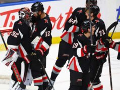 Babak playoff NHL memiliki banyak darah segar, dan juara baru Piala Stanley akan dinobatkan