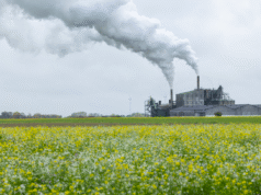 Perancis saat ini sedang mencapai “Hari Melampaui” dan kini hidup dengan “penghargaan ekologis”