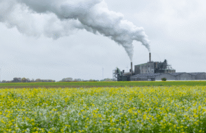 Perancis saat ini sedang mencapai “Hari Melampaui” dan kini hidup dengan “penghargaan ekologis”