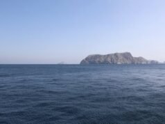 LANGSUNG – Perang di Timur Tengah: Selat Hormuz dibuka kembali untuk navigasi, sebuah misi internasional untuk mengamankan lalu lintas maritim…