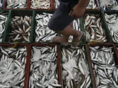 Filipina menuduh Tiongkok telah meracuni perairan yang disengketakan dengan sianida, sehingga membuat pasukan Filipina yang dikerahkan di sana kehilangan sumber makanan penting.