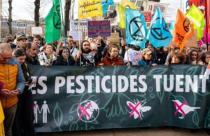 penyisipan undang-undang Duplomb 2 ke dalam undang-undang pertanian masa depan yang diminta oleh para senator