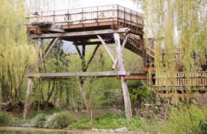 Hunawihr. Untuk ulang tahunnya yang ke-50, NaturOparC kembali ke jalurnya dengan pemandangan bangau yang menakjubkan