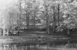 siapakah Elio D., seorang saksi penting yang ditemukan tewas di rumahnya?