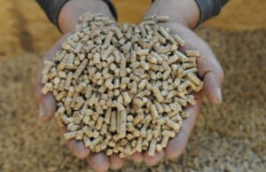 perhatikan stok wood pellet anda