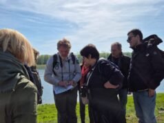 Erstein. Diklasifikasikan sejak tahun 1989, cagar alam nasional dapat diamati dan disimak