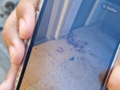 Bischheim. Penikaman di bawah gedung: tersangka ditahan polisi