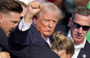 “Mitos burung phoenix bertahan selama masyarakat mempercayainya”