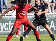 Sepak bola. Piala Grand Est: “Mereka lebih efisien”… Schiltigheim gagal di gerbang final