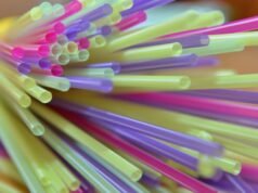 seorang warga Prancis berusia 18 tahun berisiko dipenjara di Singapura