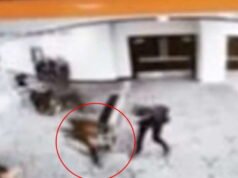 AMERIKA SERIKAT. Penembakan di Washington: dituduh melakukan percobaan pembunuhan terhadap Trump, tersangka tidak mengaku bersalah