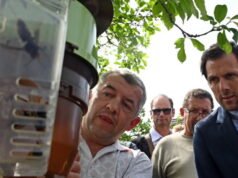 juga. Rencana nasional sebesar 3 juta euro untuk melawan lebah Asia diluncurkan dari Rossfeld