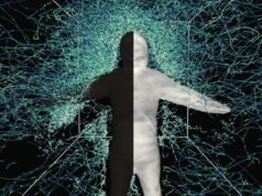 Gigitan nyamuk: bagaimana serangga sekecil itu bisa tidak merindukan kita?