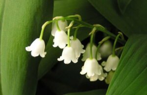 Pekerjaan pada tanggal 1 Mei: delapan organisasi serikat pekerja menentangnya tetapi pemerintah berjanji untuk tidak āmelakukan kekerasanā